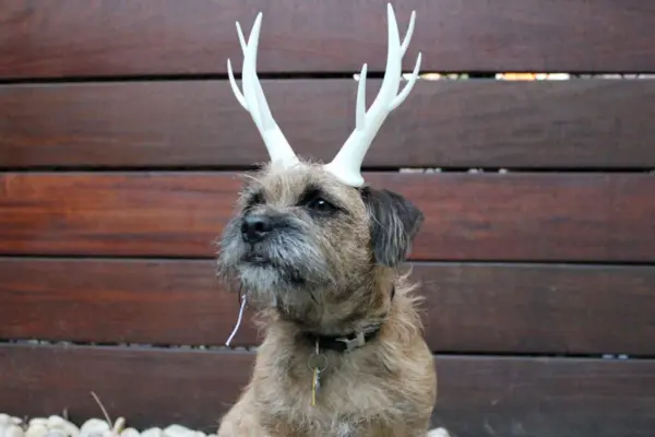 Reindeer Antlers #WearableWednesday #3DPrinting