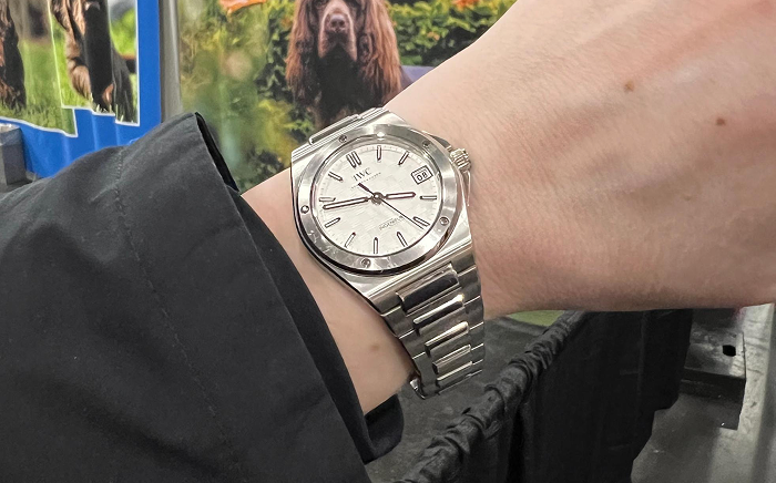 The Other Best in Show
