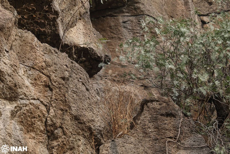 Rock Art Discovered in Central Mexico