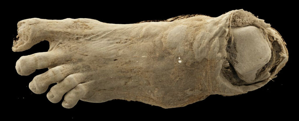 CT Scans Reveal Details Inside Egyptian Mummies