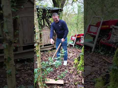 Ooopsie Mark breaks the log base!
