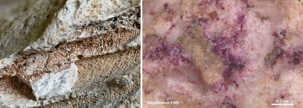 Infants from Roman York Buried in Rare Purple Textiles