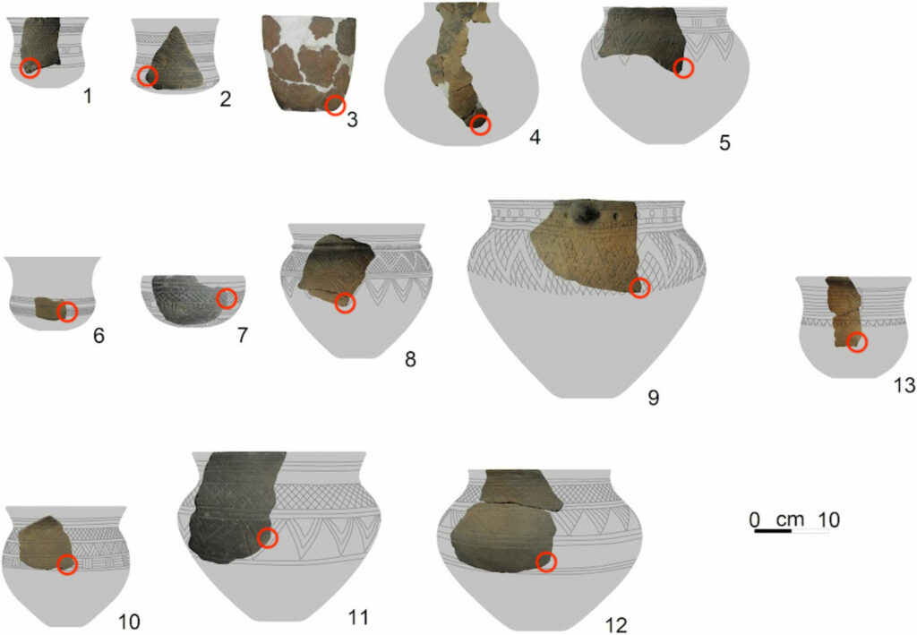 4,500-Year-Old Alcoholic Beverages Identified in Poland