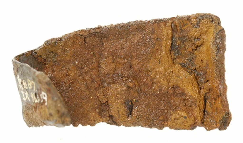 Possible Early Saw Technology Uncovered in Japan