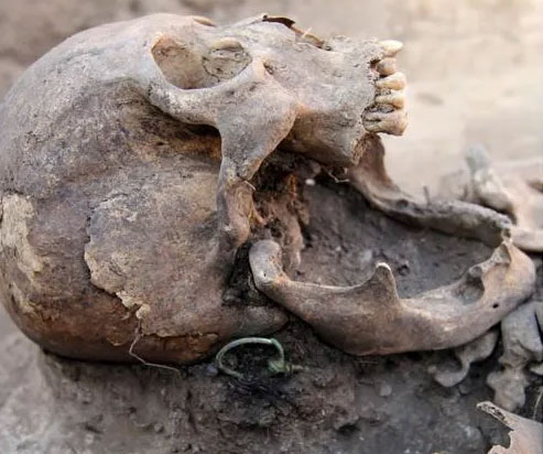Unusual Artifacts Found in Medieval Siberian Burial