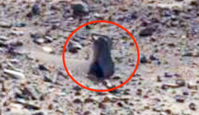 Mars structure found in NASA Rover Photo, UFO UAP Sighting News.