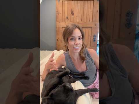 The Older I Get, The More I Understand My Pugs | Best Mattress 2026 Helix