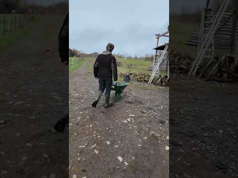 I quit my 9-5 for my off-grid life.