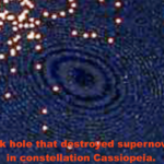 Black hole supernova