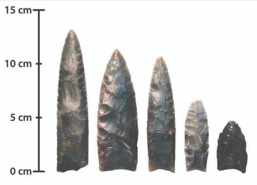 Did Clovis People Hunt Large Animals?