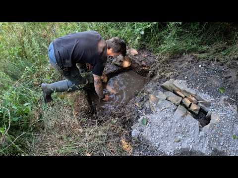 Life on the Farm | Sheep Shearing, Spring Water Repairs & Garden Update