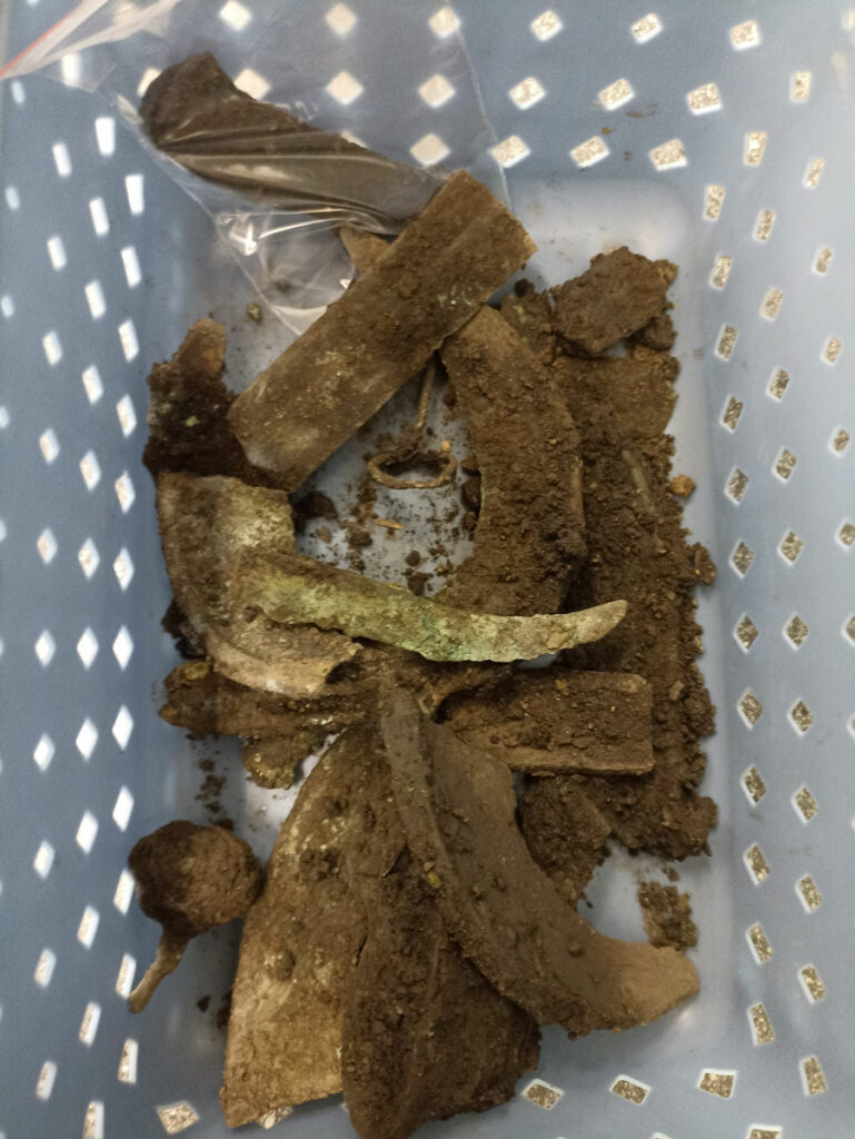 Bronze Age Hoard Uncovered in Czech Wetland