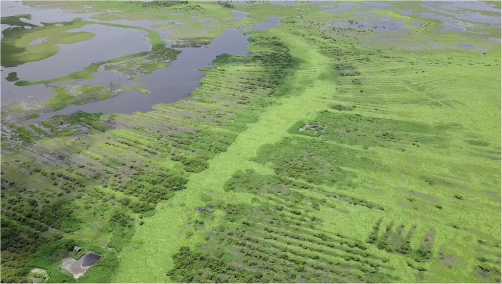 Pre-Hispanic Farmers Built Vast Canal Network in Colombia