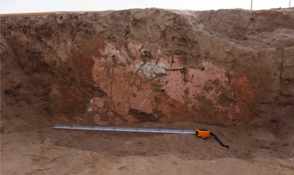 Ancient Flower Mural Discovered in Uzbekistan