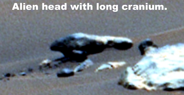 Ancient Alien Skull On Mars, With Cranium 3X Longer Than Peru Alien Mummy Skulls, UFO UAP Sighting News.