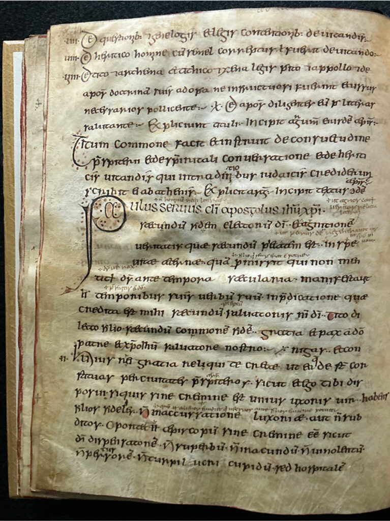 Sheep Pox Virus Tracked With Medieval Parchment
