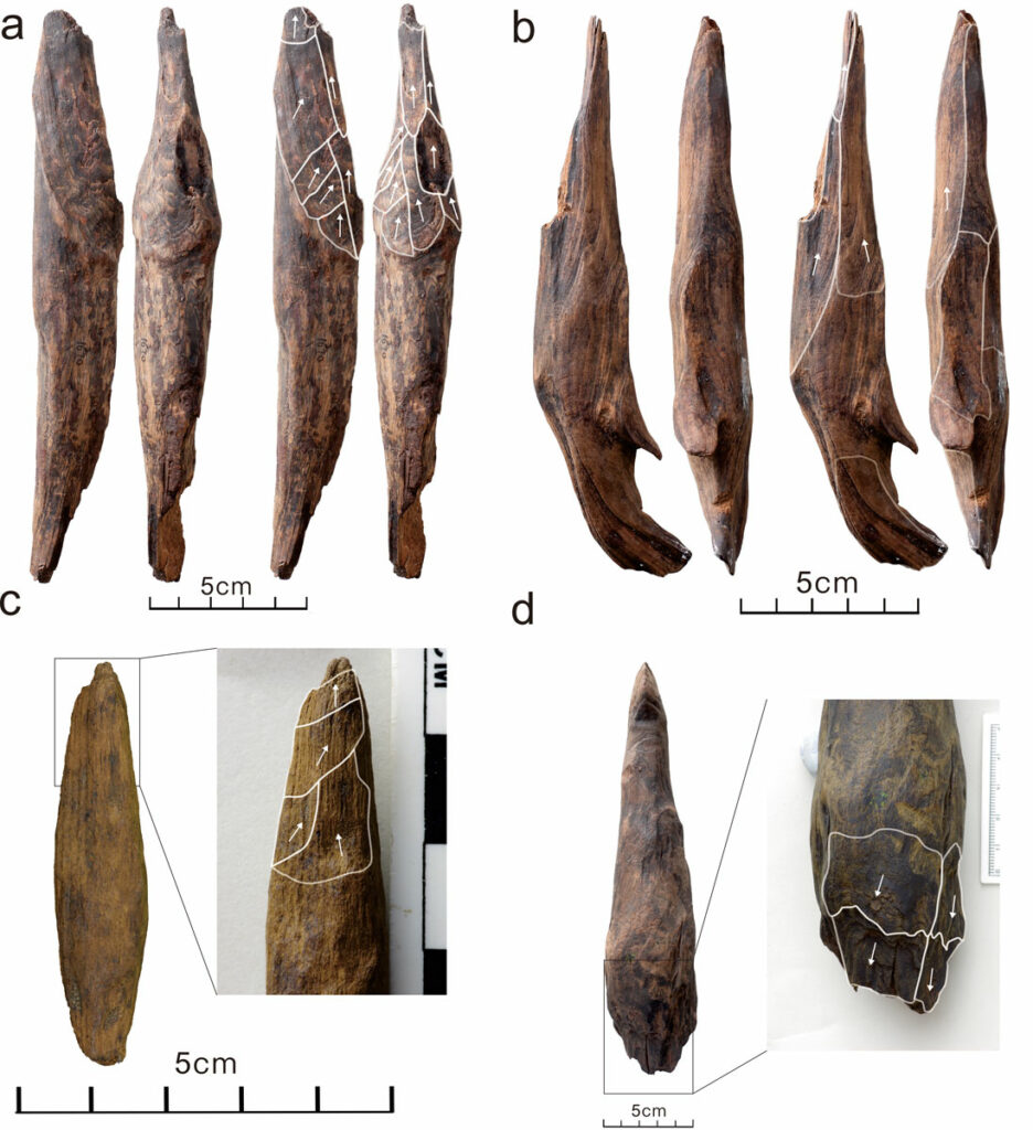 Denisovan Fossils and Possible Tools Uncovered in China