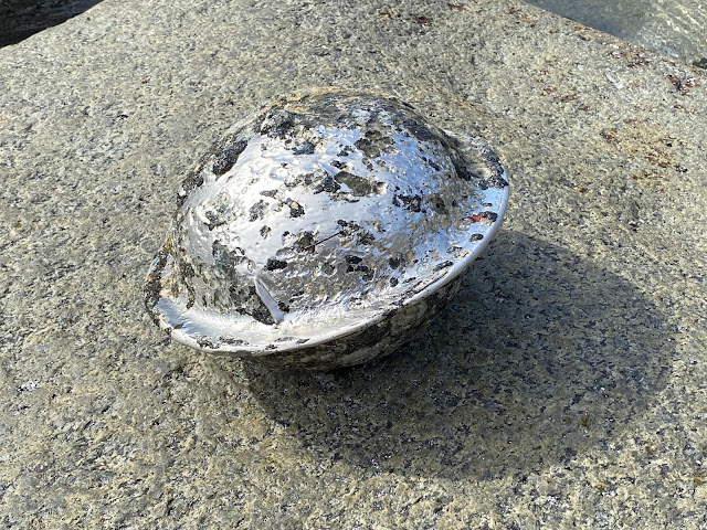 Someone Found An Alien Drone Orb In Norway On The beach, UFO UAP Sighting News.