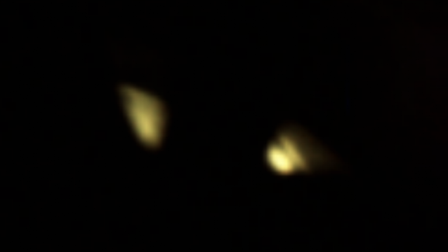 Two UFOs Show Up In Apollo 10 Mission Photo Near Orbiter, UFO UAP Sighting News.