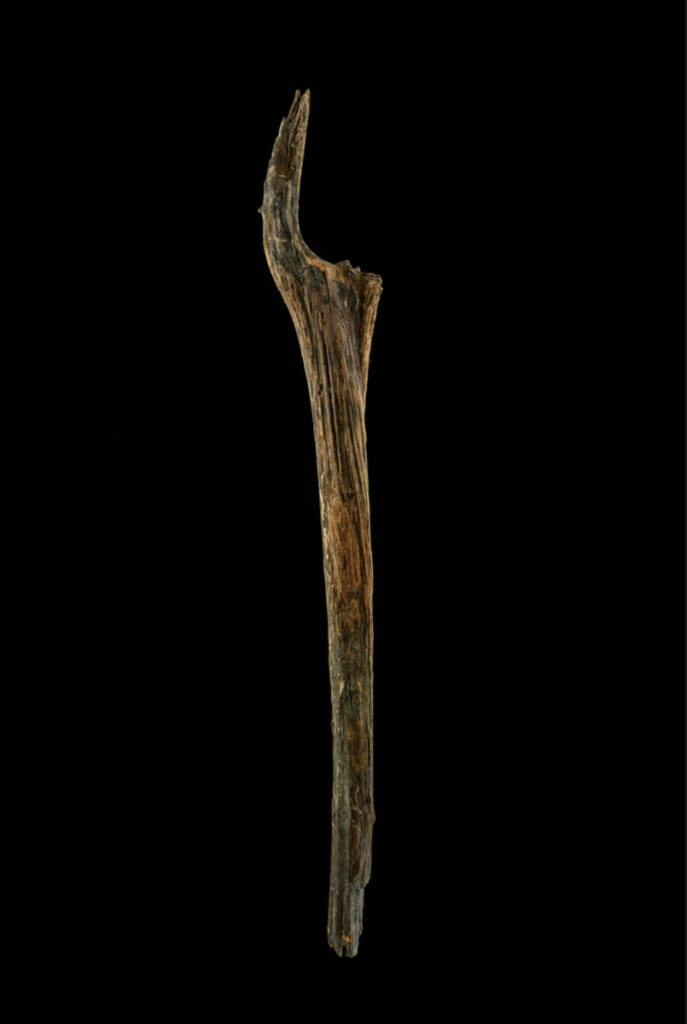 Mesolithic Lumber Recovered in Germany’s Lake Arendsee