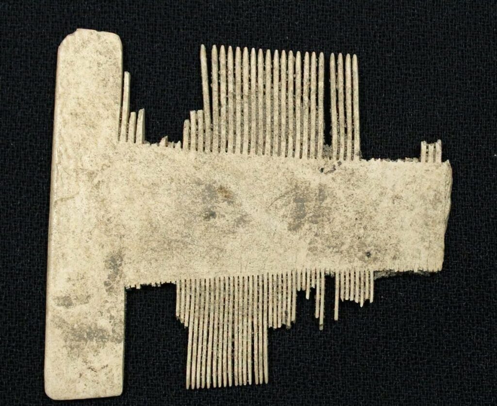 Bone Comb Unearthed at South Carolina Colonial Town