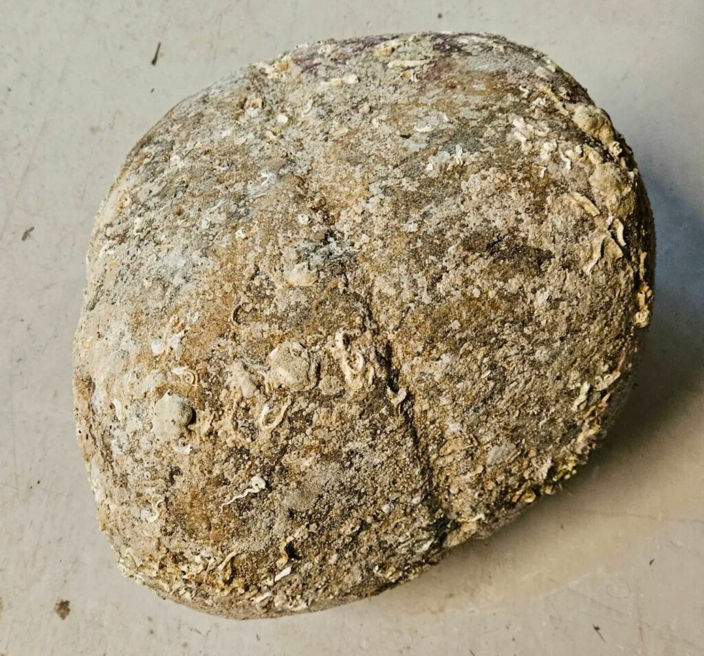Early Anchor Found Off Norwegian Coast