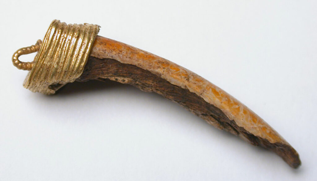 Tooth Enamel Records Rise of Medieval England’s Lead Industry
